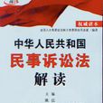中華人民共和國民事訴訟法解讀