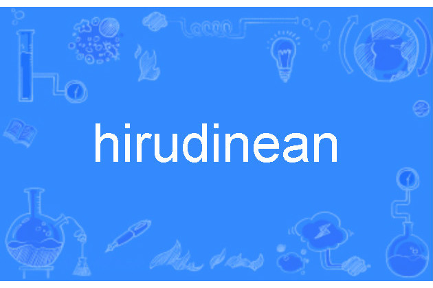 hirudinean hirudinean