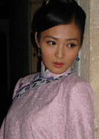 東陵大盜(2008年張多福執導電視劇)