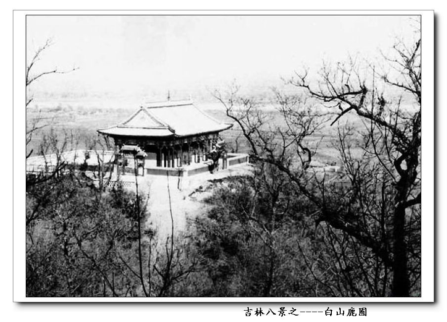 白山鹿囿 白山鹿囿