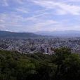 愛媛縣 愛媛縣