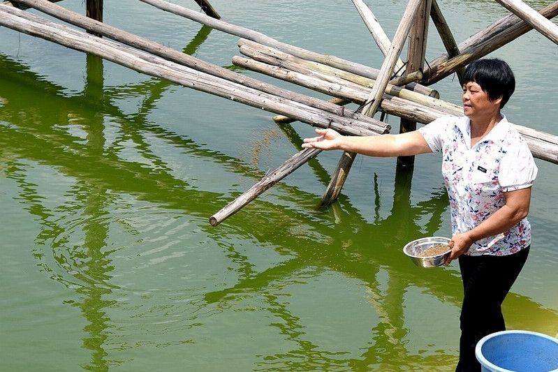 李亞珍(茂南區山閣鎮李亞珍家庭農場負責人) 李亞珍(茂南區山閣鎮李亞珍家庭農場負責人)