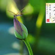 大暑(聞一多詩作) 大暑(聞一多詩作)