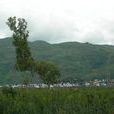余家寨村 余家寨村