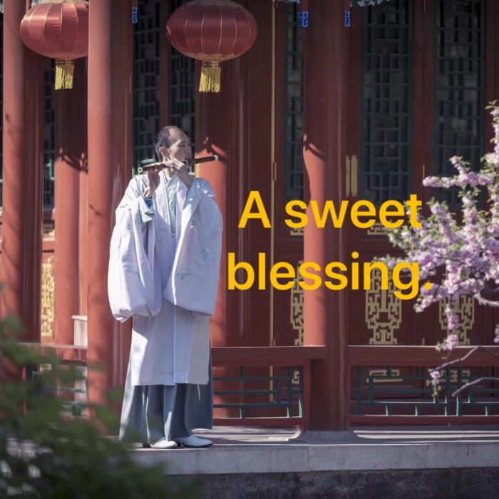 甜蜜的祝福 甜蜜的祝福