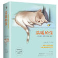 溫暖的弦(言情小說（作者：安寧）)