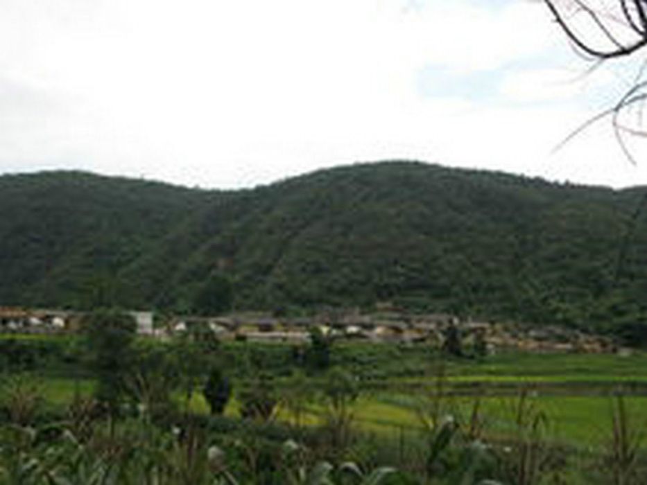 梨埡村 梨埡村