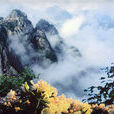 碧山風景區 碧山風景區