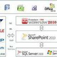 Sharepoint Workspace 2010