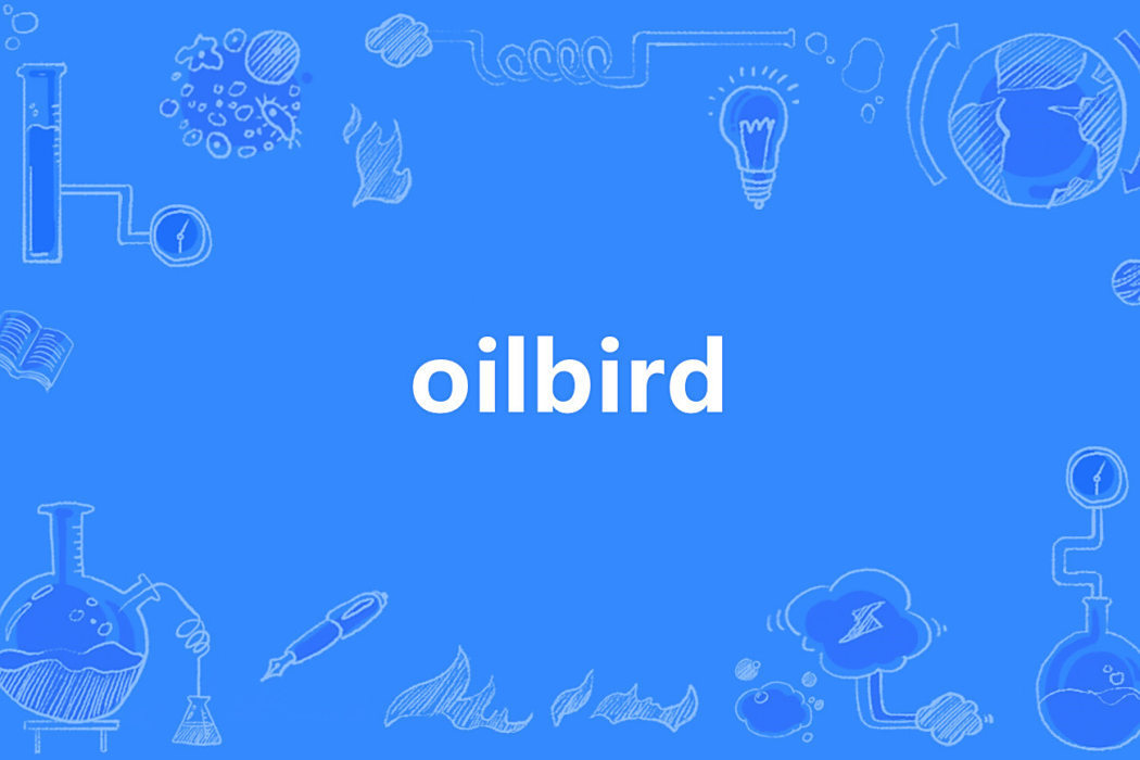 oilbird oilbird