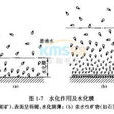 水化膜 水化膜