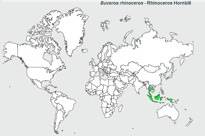 馬來犀鳥分布圖