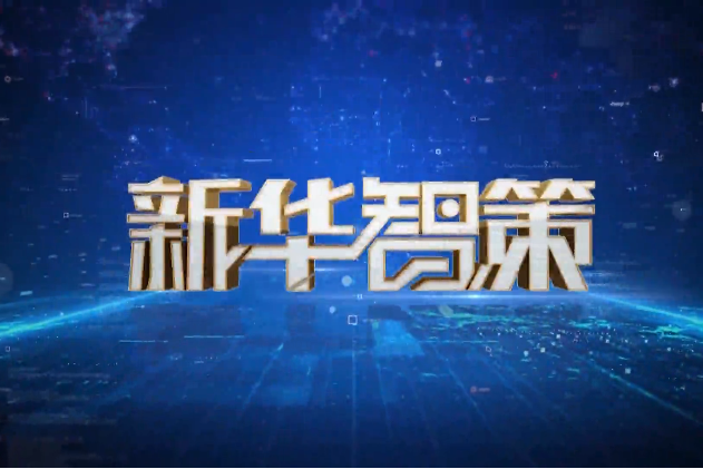 新華智策 新華智策