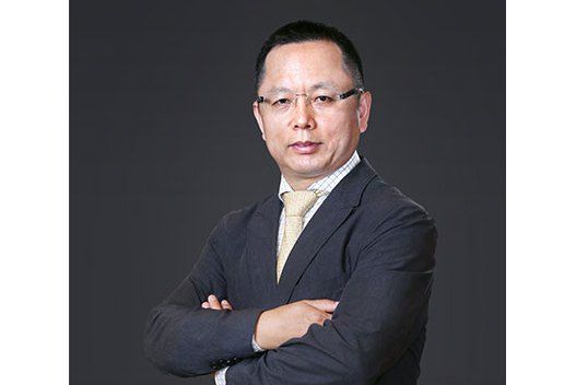 王霖(成都先導董事) 王霖(成都先導董事)