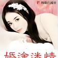 婚途迷情 婚途迷情