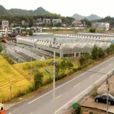 大汪村(安徽巢湖市槐林鎮下轄村) 大汪村(安徽巢湖市槐林鎮下轄村)