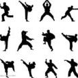 達摩拳 達摩拳