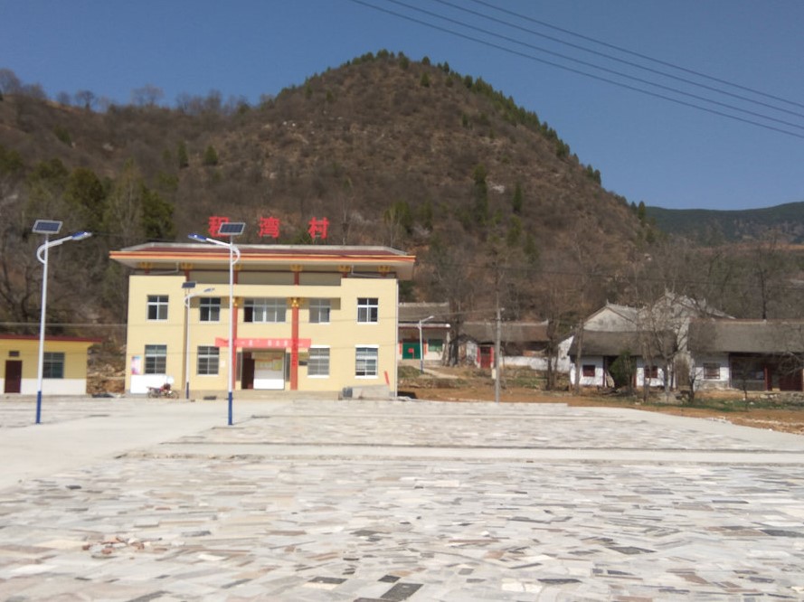 程灣村(陝西省商洛市洛南縣的一個行政村)