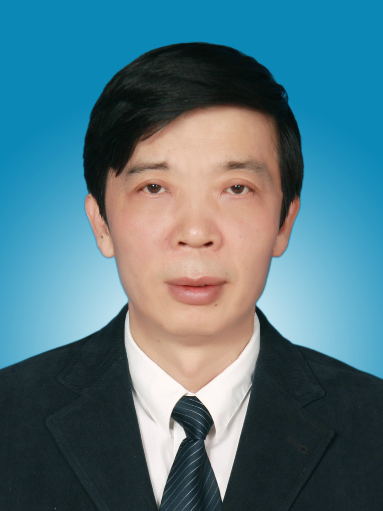陳鴻(新疆自治區國資委黨委委員、副主任)