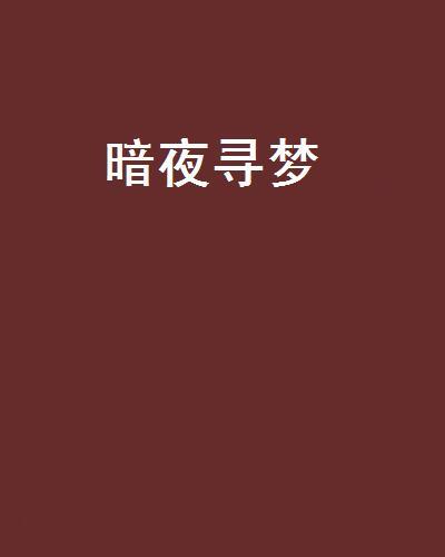 暗夜尋夢 暗夜尋夢