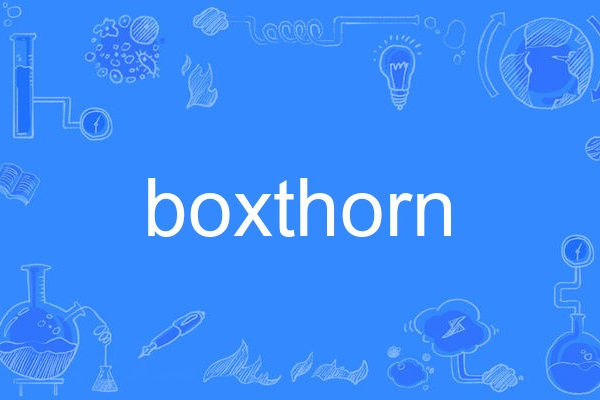 boxthorn boxthorn