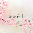 昭昭在上 昭昭在上
