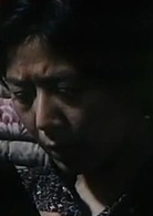 鳳凰琴(1994年李保田主演電影)