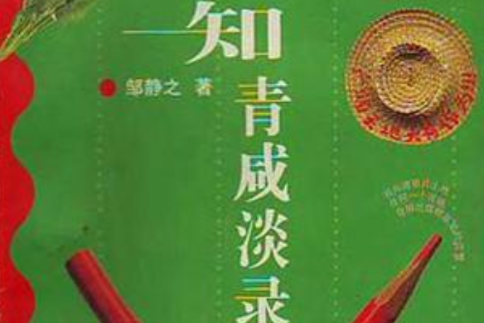 知青鹹淡錄 知青鹹淡錄