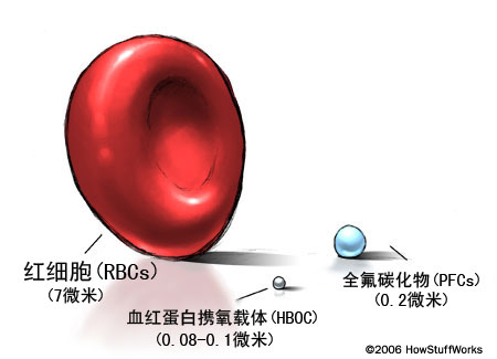 HBOC和PFC均比紅細胞小得多