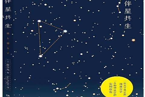 伴星共生