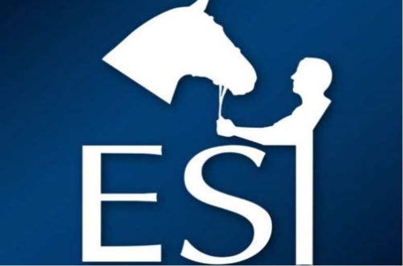 ESI(ESI (Edge Side Includes))