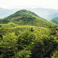 笄山省級森林公園
