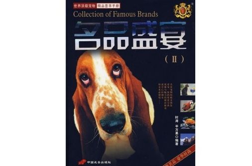 名品盛宴2 名品盛宴2