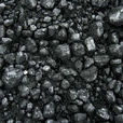 煤地質學