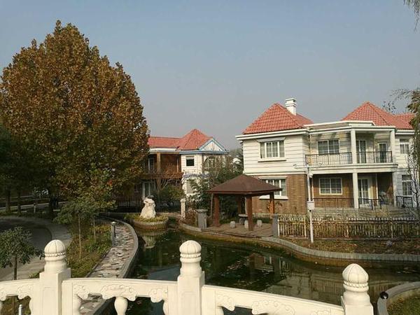 仙隱於市