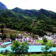 涼水鎮(四川省廣元市青川縣涼水鎮)