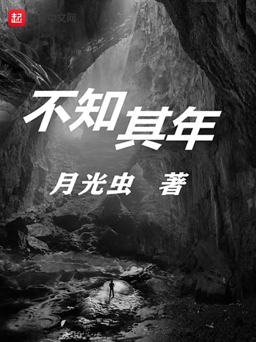 不知其年