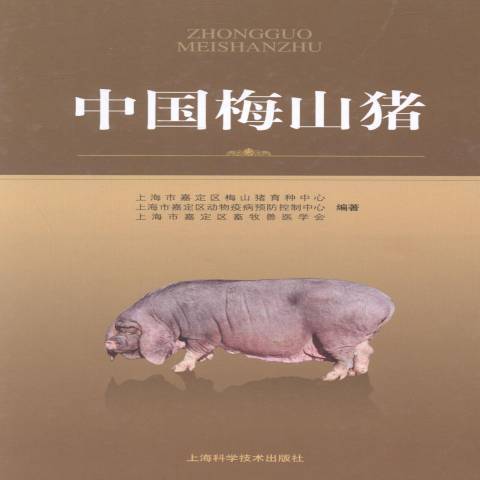 中國梅山豬 中國梅山豬