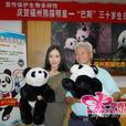 大熊貓志願者活動項目