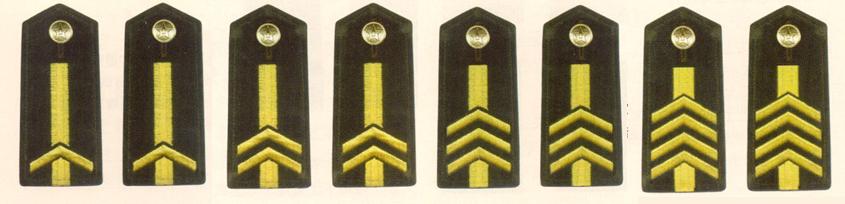 解放軍陸軍專業軍士肩章(1993-1999)