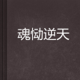 魂慟逆天 魂慟逆天