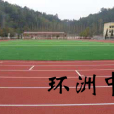 環洲中學 環洲中學