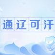 通遼可汗 通遼可汗