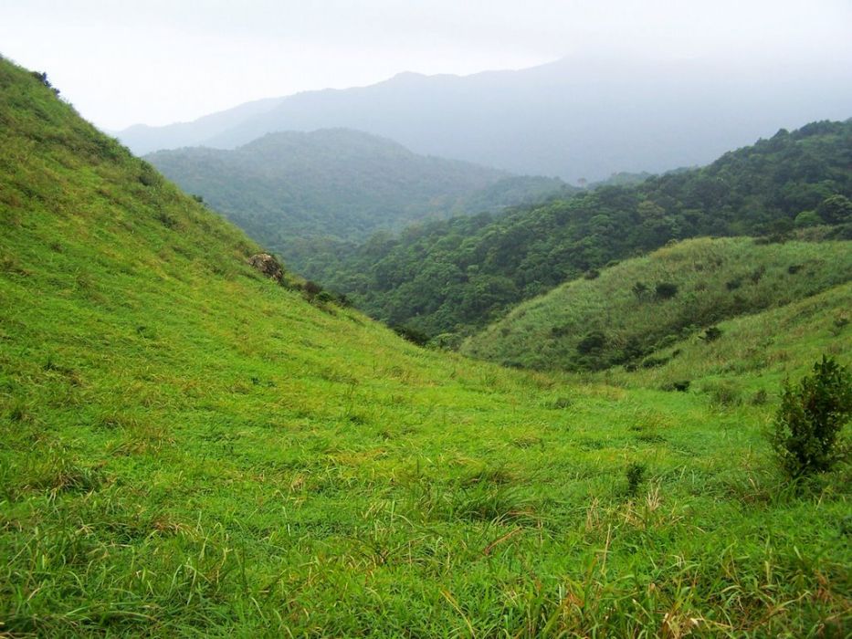 七娘山村 七娘山村