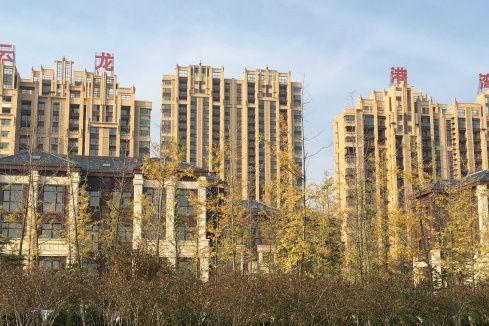 雲龍港灣