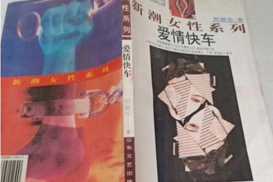 愛情快車(1990年山東文藝出版社出版的圖書)