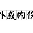 外感內傷 外感內傷