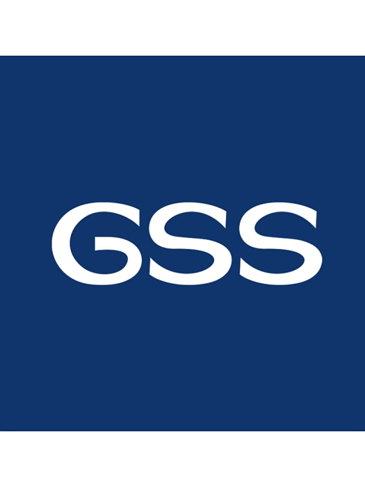 GSS GSS