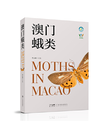 澳門蛾類 澳門蛾類