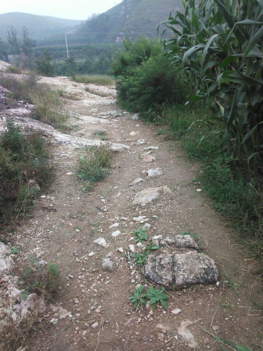 北青陽貫 北青陽貫